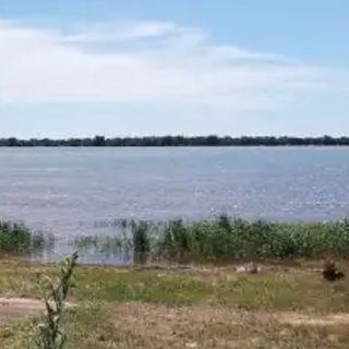 Buscan a dos primos de 16 años en el río Paraná