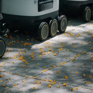 Foto: Kindel Media / Pexels