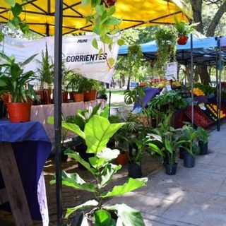 Ferias de la Ciudad: el cronograma hasta el domingo en Corrientes