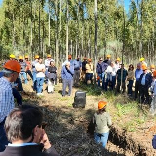 Concordia reúne al sector forestal en su 40° jornada anual