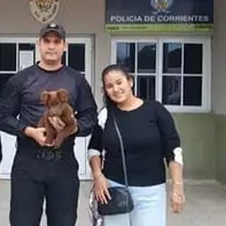 Robaron a un cachorro en Saladas y logró volver con su familia