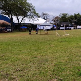 Virasoro se prepara para celebrar sus 100 años
