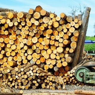 Aserraderos de Santo Tomé, en alerta por tarifas eléctricas