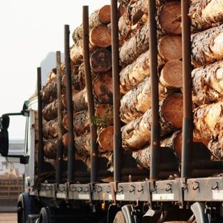 Acon Timber toma un préstamo de USD 30 millones para ampliar su planta en Virasoro