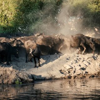 Foto: Zeynep Sude Emek / Pexels