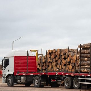 Zeni invierte en Esquina para triplicar su producción forestal