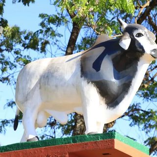 Restauran los monumentos al Cebú y al Tarefero