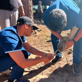 Más de mil atenciones sanitarias en la peregrinación a Itatí