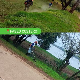 Tareas de corte y mantenimiento de pasto en el Paseo Costero