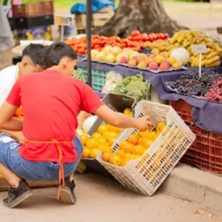 Las Ferias de la Ciudad recorren plazas y paseos de Corrientes