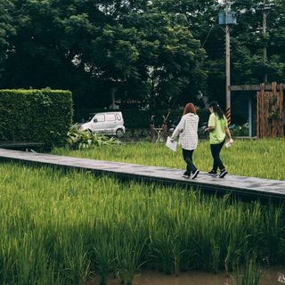 Foto: Luo Chris / Pexels