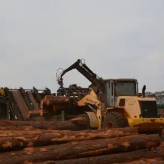 La planta de madera contralaminada producirá a inicios de 2027