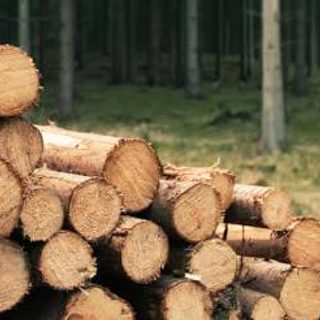 Santo Tomé capacita sobre arquitectura sustentable en madera