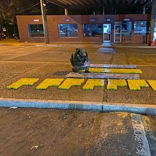 Gendarmería secuestró casi 250 kilos de marihuana en Iguazú