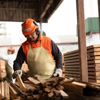 Zeni triplica su capacidad en la planta maderera de Esquina