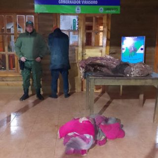 Virasoro: atraparon a un cuatrero con medio novillo robado