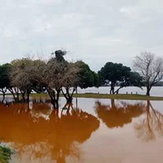 Santo Tomé cierra su costanera por la crecida del río Uruguay