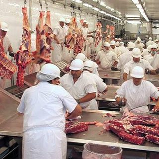 Piden fortalecer la recría antes de instalar frigoríficos