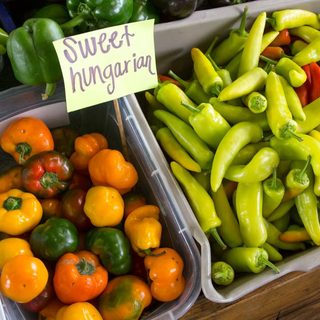 Foto: Mark Stebnicki / Pexels