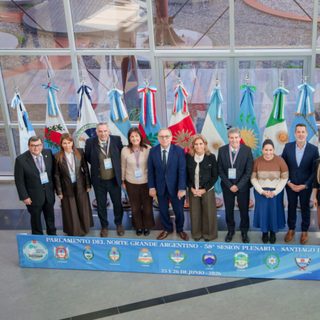 Fick pide reflotar subsidio eléctrico y reformar el cabotaje