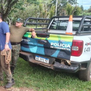 Rescataron a una yegua usada por cuatreros y ahora es madre