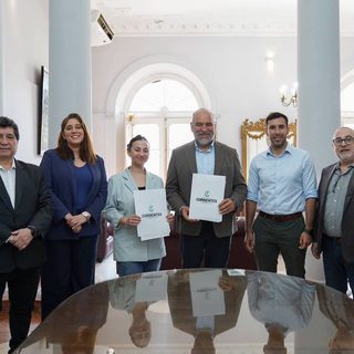Una ciudad argentina tokeniza el carbono de su arbolado