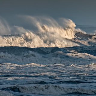 Foto: Ray Bilcliff / Pexels