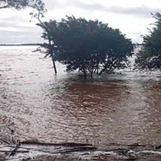 Crecida del río Uruguay: cuatro ciudades correntinas en alerta