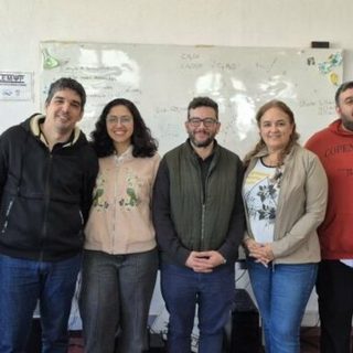 Estudian con simulaciones cómo transformar biomasa en biocombustibles y bioproductos
