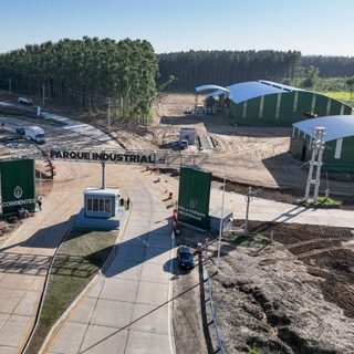 Piden apurar rutas y puerto ante la planta de celulosa