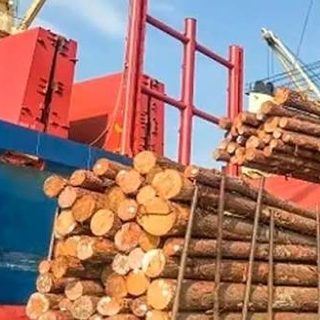 Logística: el freno que traba las exportaciones de madera