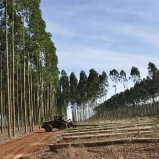 Valdés lleva a Iguazú el plan correntino para atraer inversiones