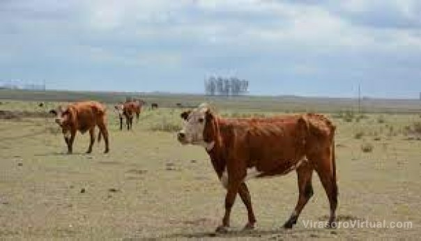 Apuran reunión para definir la prórroga de la emergencia agro