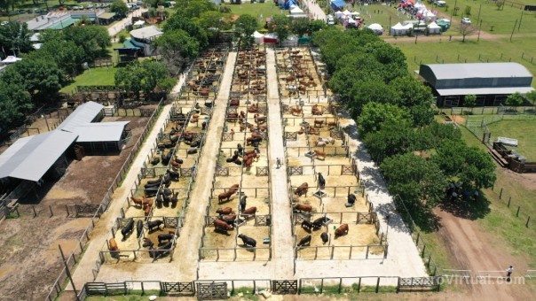 Valdés cortará las cintas de la Exposición Nacional de Razas en la Rural de Corrientes