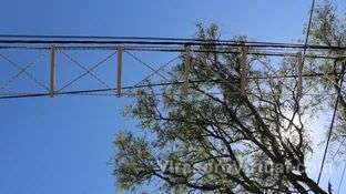 Para cuidar a los carayá, inauguraron el primer pasafaunas en Corrientes