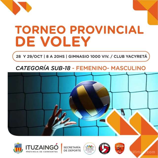 Torneo provincial de voley