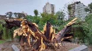 Fuerte temporal provocó voladuras de techo, caída de 70 árboles y postes