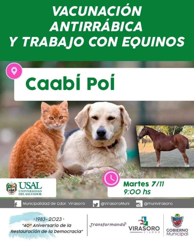 El martes 7/11 estarán  en Caabí Poí
