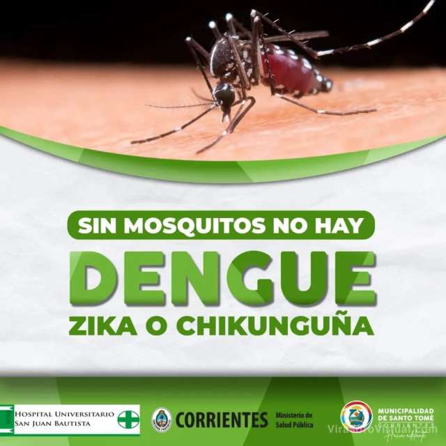SIN MOSQUITO NO HAY DENGUE