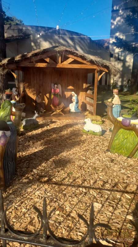 VIRASORO YA ARMO EL ARBOLITO DE NAVIDAD Y EL PESEBRE