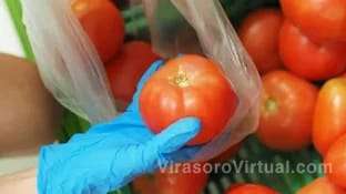Alarma en Corrientes por una enfermedad que afecta la producción de tomates