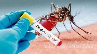 2019 casos de dengue en Corrientes