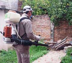 El Ministerio de Salud de la Nación insta a reforzar los cuidados para prevenir el dengue