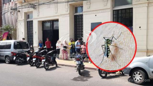 Brote de dengue en Corrientes: