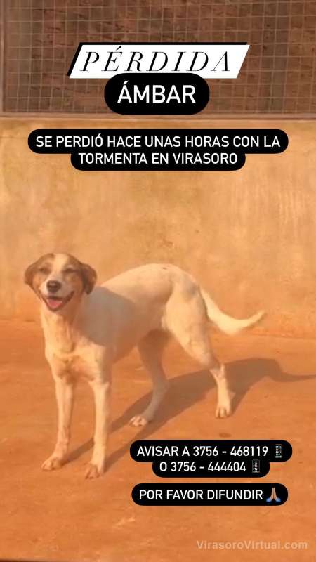 Se perdió Ambar en la tormenta en Virasoro hace unas horas