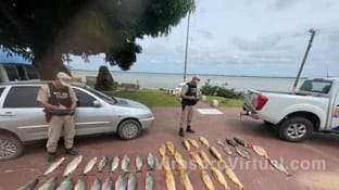 La Prefectura Naval Arg detuvo a un hombre que transportaba ilegalmente más de 130 kilos de diferentes especies de pescado