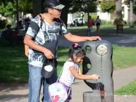 El Servicio Meteorológico Nacional emitió alertas amarillas por calor y temperaturas extremas en siete provincias