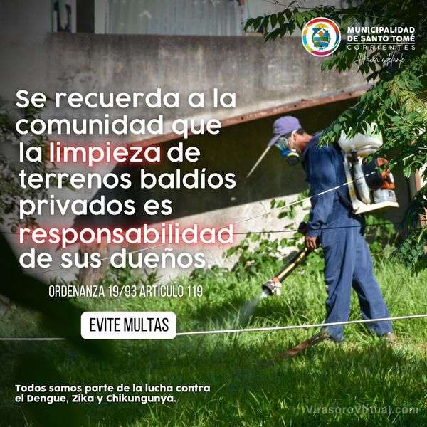 En la lucha contra el dengue, la prevención es la mejor herramienta