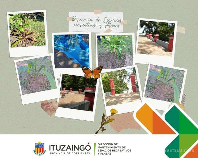 Desde la Dirección de Mantenimiento de Espacios Recreativos y Plaza, quieren informar sobre las recientes acciones: