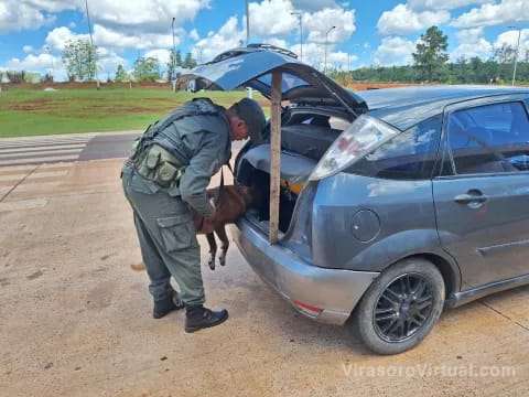 Dos personas fueron detenidas en la provincia de Misiones, Argentina, trasladando marihuana